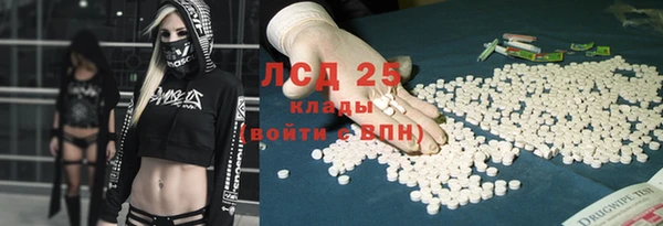 шишки Гусев