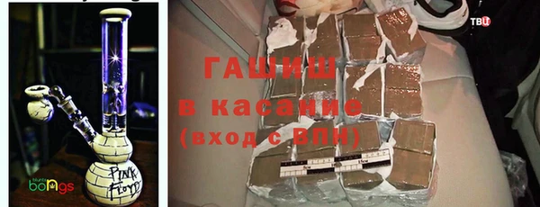 шишки Гусев