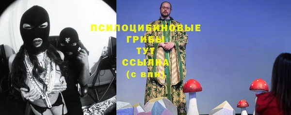 мдпв Гусиноозёрск