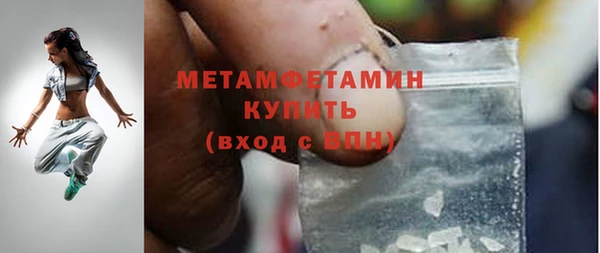 шишки Гусев