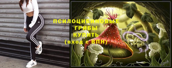 шишки Гусев