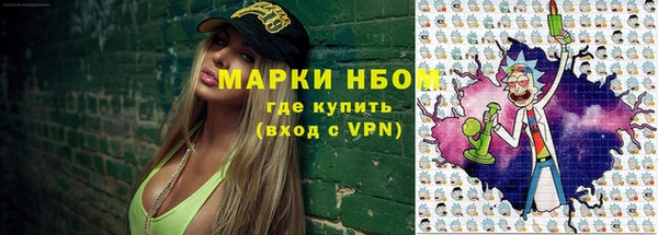 шишки Гусев