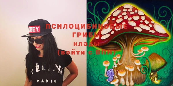 шишки Гусев
