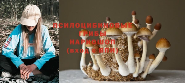 мескалин Гусь-Хрустальный