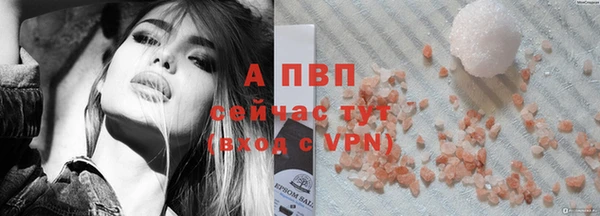 шишки Гусев