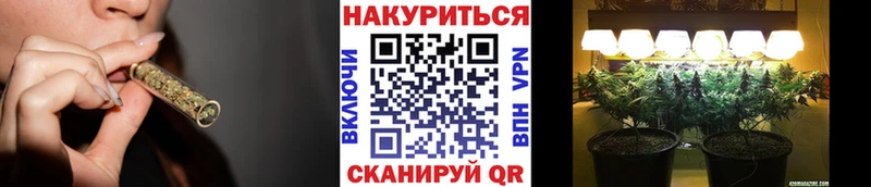 Марихуана Amnesia  закладка  Карабаново 